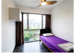 Ecopolitan (D19), Condominium #566618631